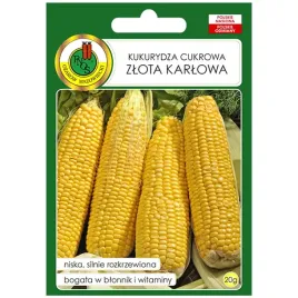 kukurydza-zlota-karlowa-nasiona-20g-pnos