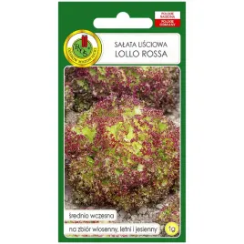 salata-lisciowa-lollo-rossa-nasiona-1g-pnos