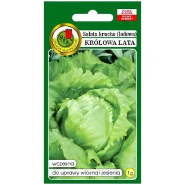 salata-lodowa-krolowa-lata-nasiona-1g-pnos