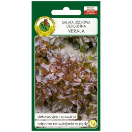 salata-lisciowa-verala-nasiona-1g-pnos