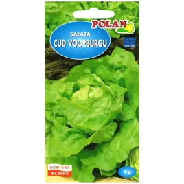 salata-maslowa-cud-voorburgu-nasiona-1g-polan