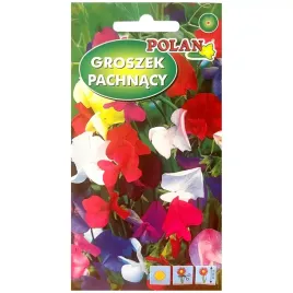 groszek-pachnacy-mieszanka-kolorow-nasiona-3g-polan