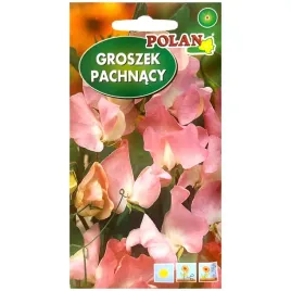 groszek-pachnacy-jasnorozowy-nasiona-3g-polan