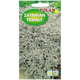 zatrwian-tatarski-bialy-nasiona-03g-polan