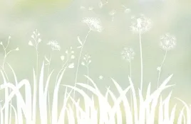 folia-okienna-samoprzylepna-mniszek-lekarski-90x200-cm