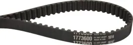 pas-zebaty-gw1773600