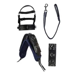 zestaw-do-lonzowania-dla-konika-cuddle-pony-hkm-longierset-czarny