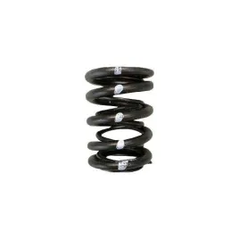 sprezyny-zaworowe-podwojne-honda-acura-b18c-b16a-b17a-nissan-ka24de