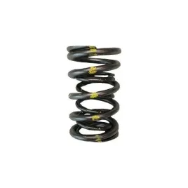 sprezyny-zaworowe-podwojne-honda-acura-k20a2-k20a-k24a2-f20c1-f22c1