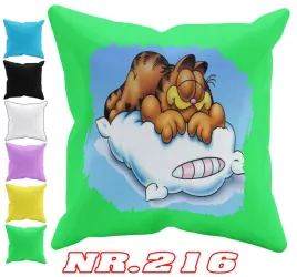poszewka-z-nadrukiem-bajki-rudy-kot-lasagne-kot-lasagne-40x40-cm-imie