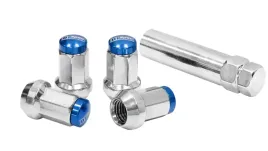 kute-nakretki-d1spec-stal-12x125-srebrne-niebieskie