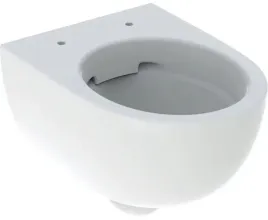 miska-wiszaca-wc-selnova-compact-lejowa-b35-5-cm-h33-cm-t49-cm-krotka