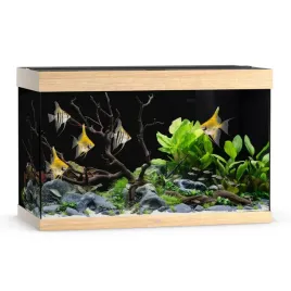 juwel-rio-290-2xled-akwarium-zestaw-jasne-drewno
