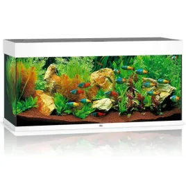 juwel-rio-180-2xled-akwarium-zestaw-bialy-wyposazenie