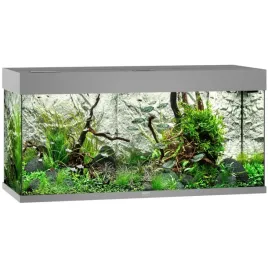 juwel-rio-180-2xled-akwarium-zestaw-szary-wyposazenie