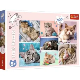 puzzle-ukladanka-zabawka-edukacyjna-100-elementow-w-kocim-swiecie