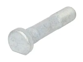 sruba-kola-fe43538