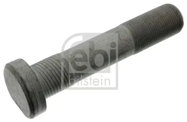 sruba-kola-fe43538