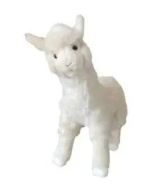 dubi-alpaka-biala