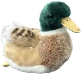 dubi-kaczor
