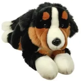 dubi-pies-bernenski-30-cm