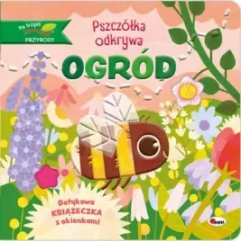 morex-na-tropie-pszczolka-odkrywa-ogrod