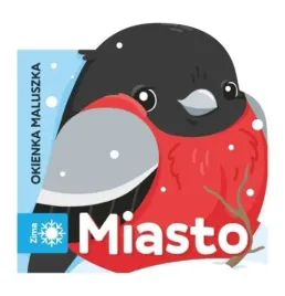 morex-okienka-maluszka-miasto