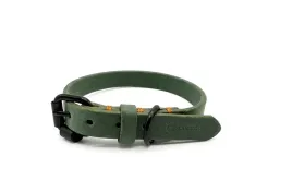 obroza-skorzana-zielona-dla-sredniego-psa-dl-36-44-cm-gr-2cm