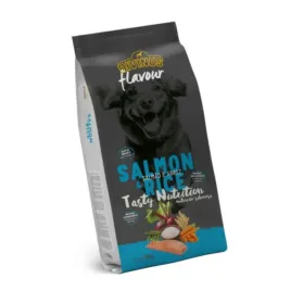 karma-sucha-divinus-dla-psow-losos-z-ryzem-worek-18-kg