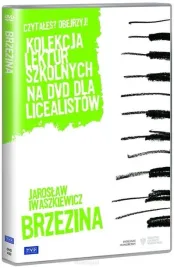 brzezina-andrzej-wajda-film-dvd-telewizja-polska-s-a