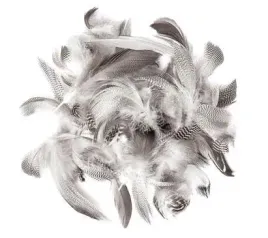 piora-kacze-braz-bez-5-12-cm-5-g-dalprint-dpcraft