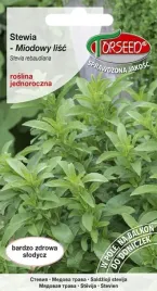 stewia-nasiona-roslina-slodzaca