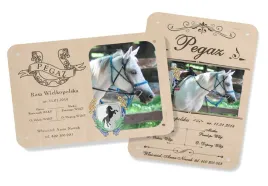 tabliczka-na-boks-dla-konia-ze-zdjeciem-imieniem-personalizowana