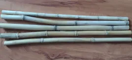 trawa-bambusowa-dl-60-cm-i-sr-15-do-25-cm-5-sztuk