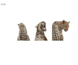 shein-plakat-na-sciane-3-pack-s07-40x60