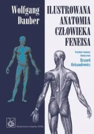 ilustrowana-anatomia-czlowieka-feneisa-ksiazka-pzwl-dauber