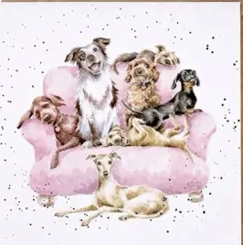 obraz-na-plotnie-w-drewnianej-ramie-20x20-cm-motywy-zwierzece-kwadratowy