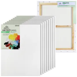 plotno-malarskie-do-malowania-40x60-cm-podobrazia-phoenix-podobrazie-10-szt