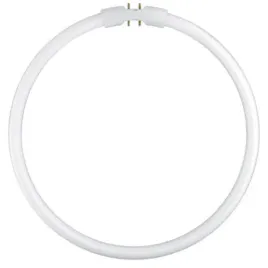 osram-circular-fluorescent-lamp-t5-fc22w-840-2gx13