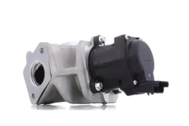 zawor-egr-eg10401-12b1-delphi