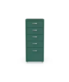 szafka-wielofunkcyjna-flexispot-rw2-5-szuflad-na-kolkach-41x28x69cm