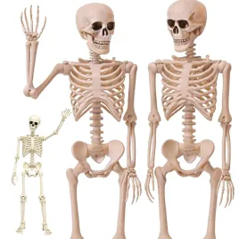 dekoracja-2x-szkieletor-szkielet-kosciotrup-dekoracyjny-na-halloween-40-cm