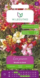lwia-paszcza-bicolor-and-dark-mieszanka-06g-nasiona-legutko