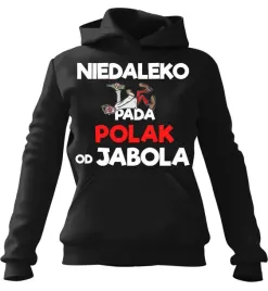 bluza-meska-z-kapturem-niedaleko-pada-polak-od-jabola-czarna-3xl