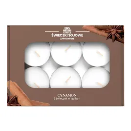 big-nature-swieczki-tealight-sojowe-zapachowe-cynamon-60g