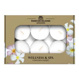 big-nature-swieczki-tealight-sojowe-zapachowe-wellnessandspa-60g