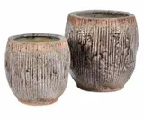 lill-old-oslonka-2b-dlugosc-1-cm