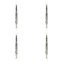 borgwarner-beru-ge100-swieca-zarowa