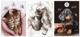 zeszyt-szkolny-a4-60-kartek-w-kratke-kratka-the-sweet-pets