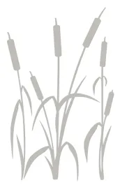 naklejka-welurowa-dekoracyjna-na-sciane-tatarak-nw-42-70-15p-szary